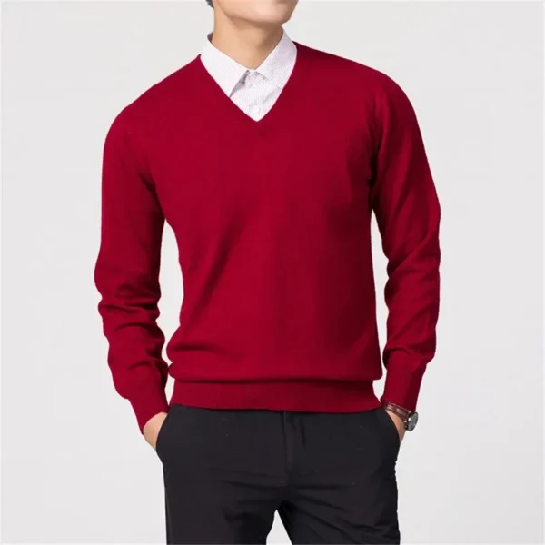 Men's Sweaters V-neck Cashmere